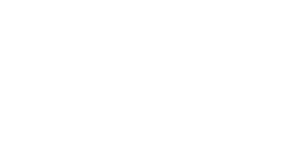 GeoSolutions